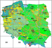 Potencjalna roślinność naturalna Polski